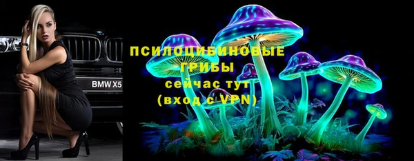 PSILOCYBIN Волосово