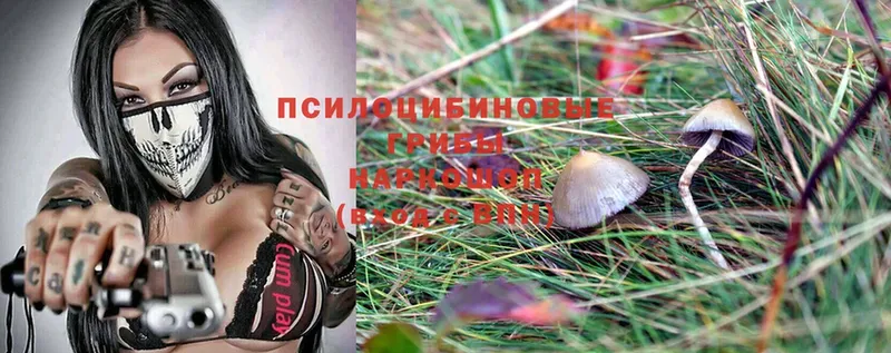 Псилоцибиновые грибы MAGIC MUSHROOMS  Короча 